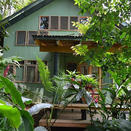 Rainforest Eco Lodge Suva Bagian luar foto