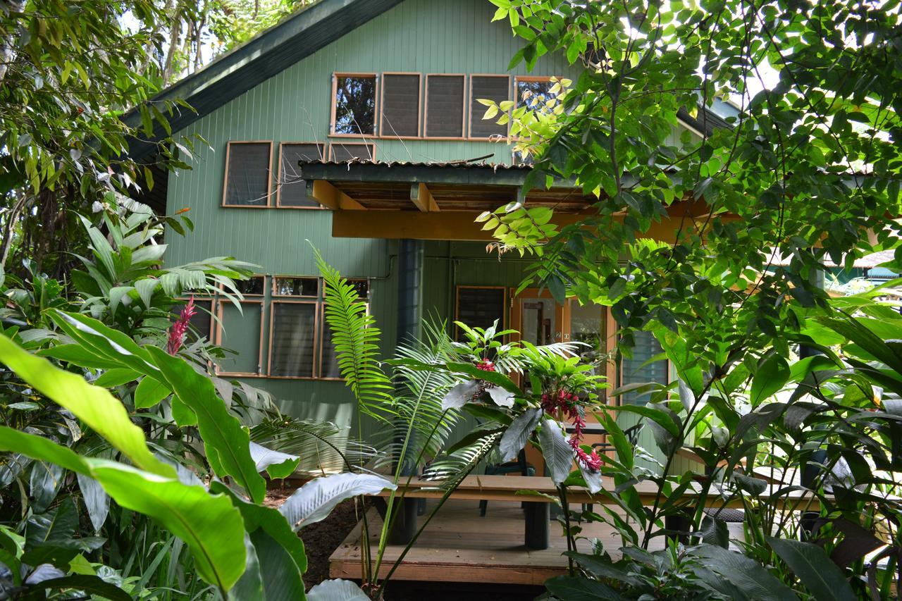 Rainforest Eco Lodge Suva Bagian luar foto