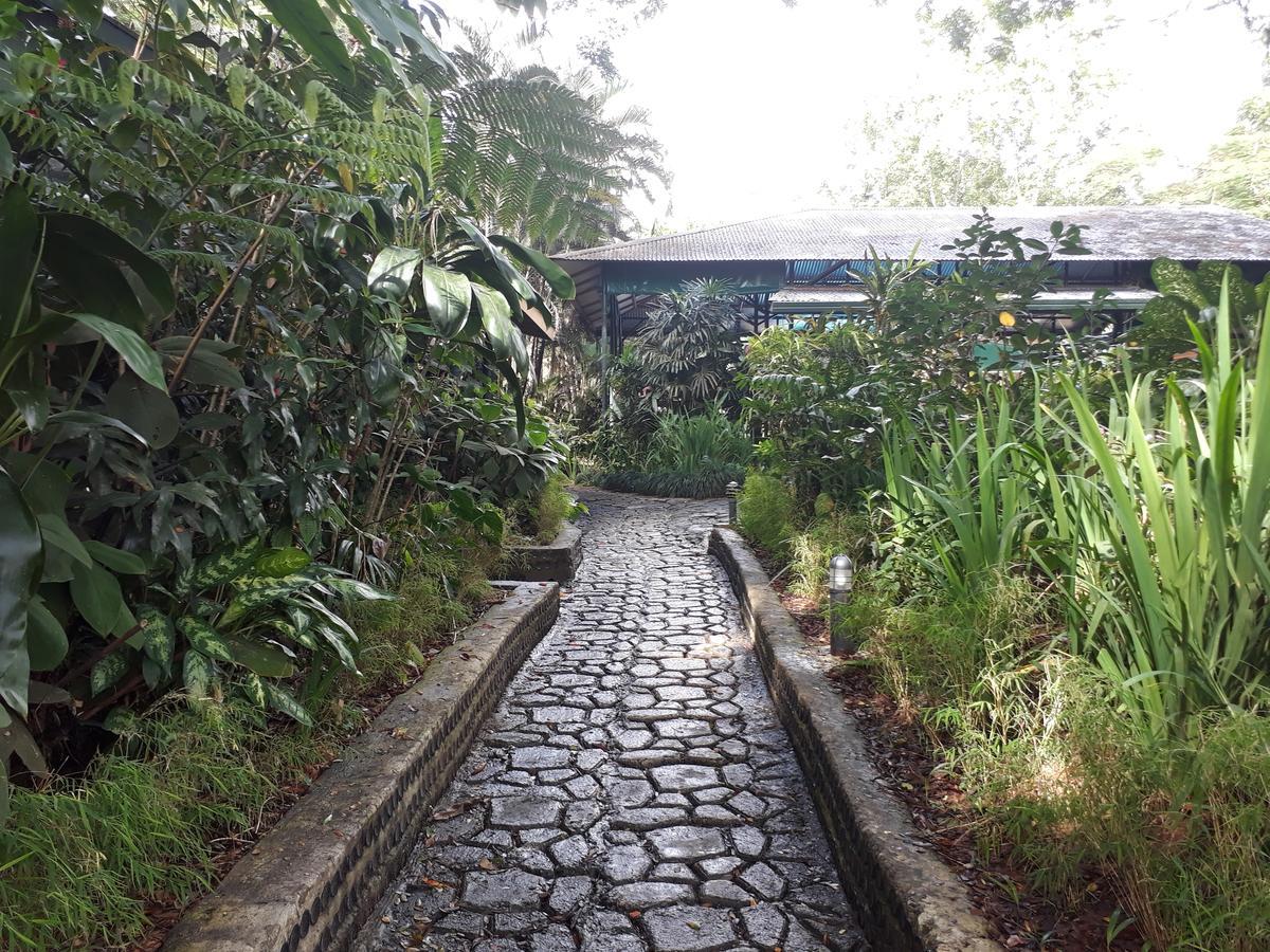 Rainforest Eco Lodge Suva Bagian luar foto