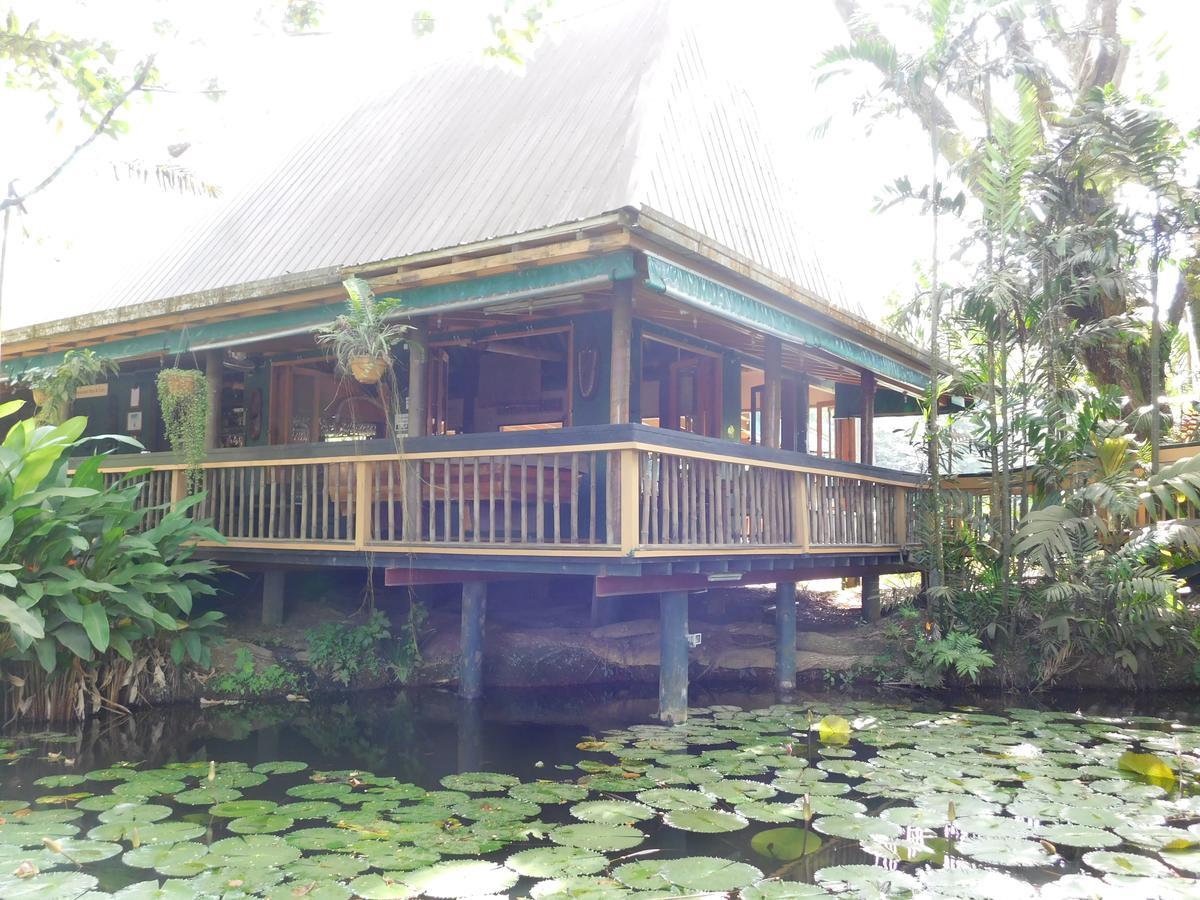 Rainforest Eco Lodge Suva Bagian luar foto