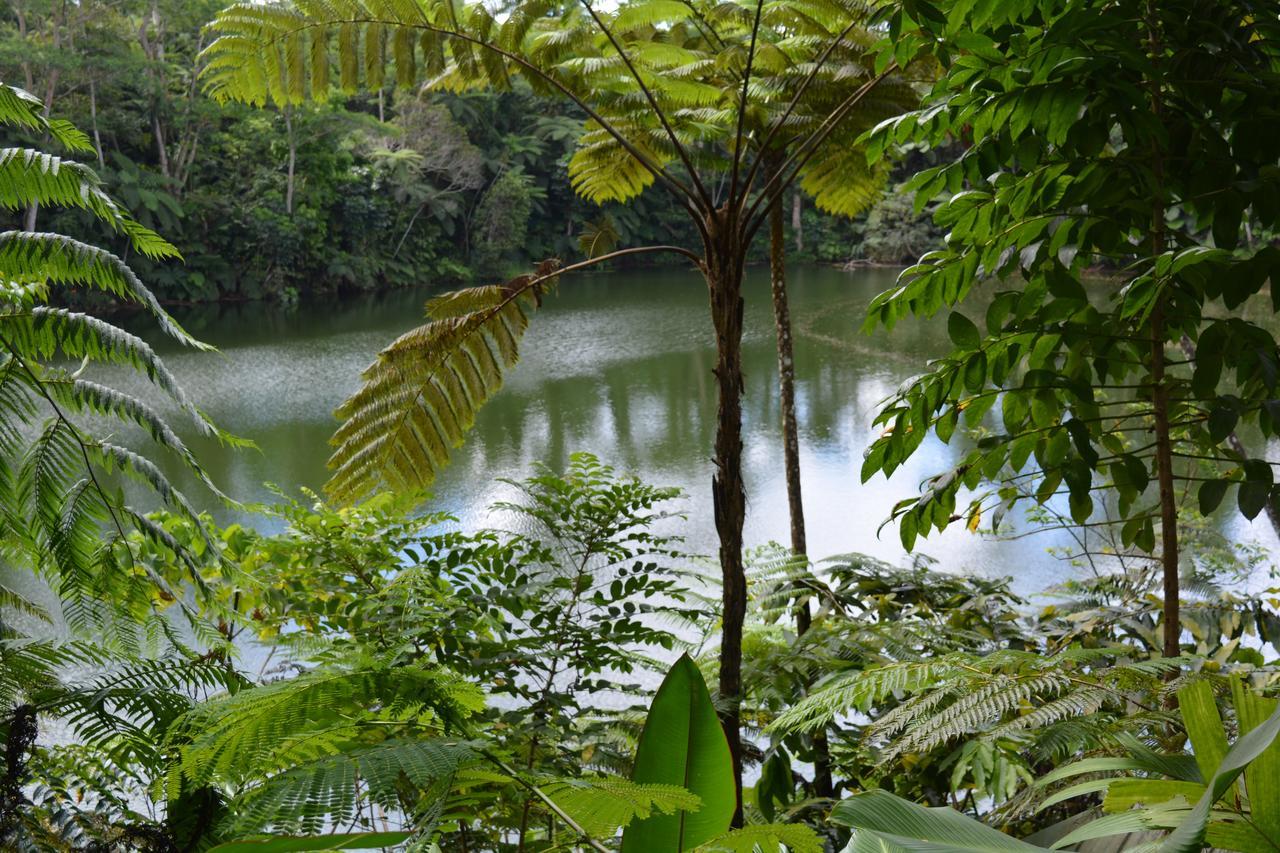 Rainforest Eco Lodge Suva Bagian luar foto