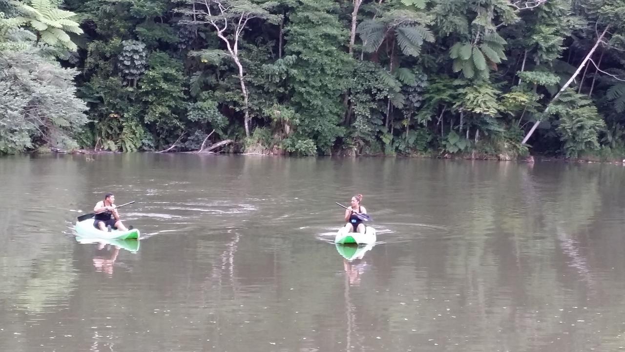 Rainforest Eco Lodge Suva Bagian luar foto