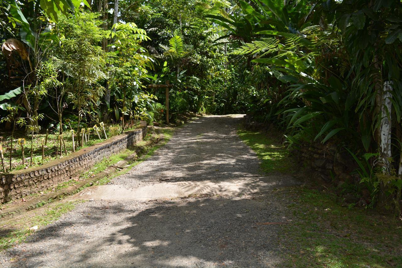 Rainforest Eco Lodge Suva Bagian luar foto