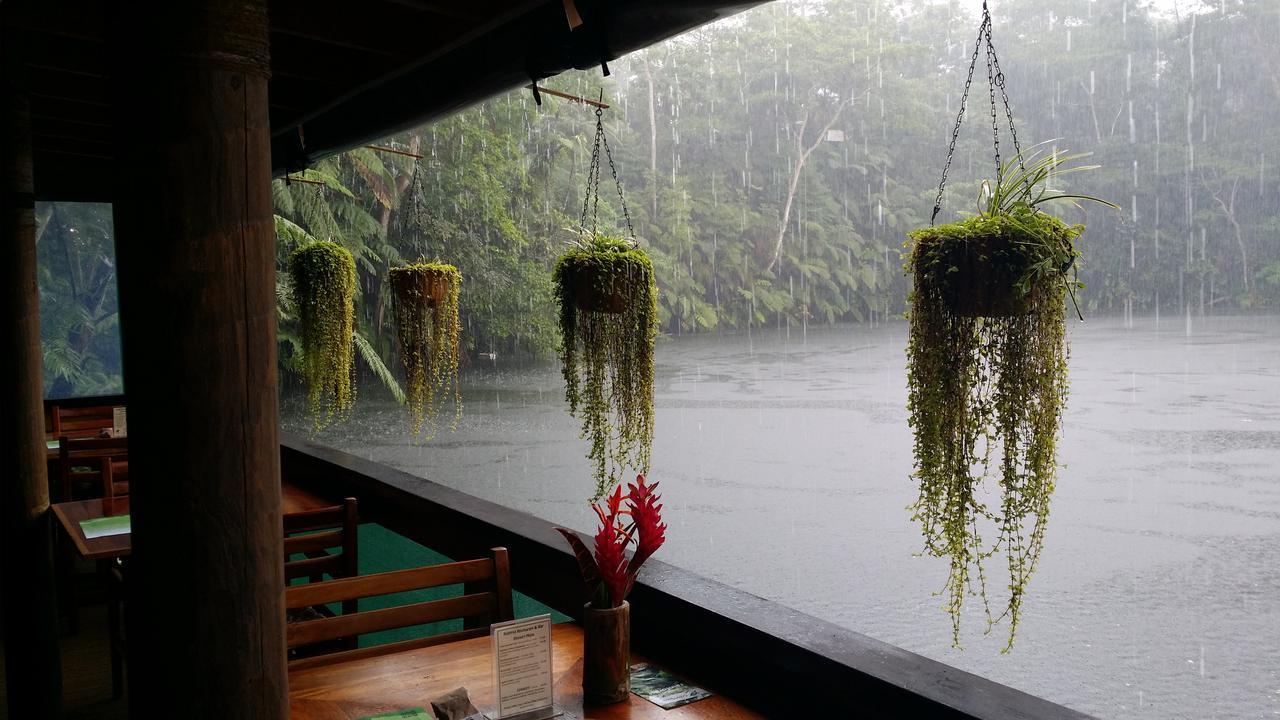 Rainforest Eco Lodge Suva Bagian luar foto