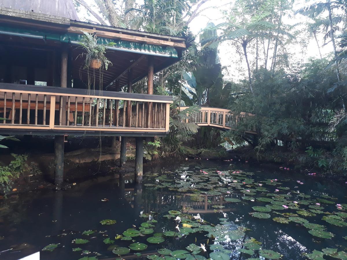 Rainforest Eco Lodge Suva Bagian luar foto