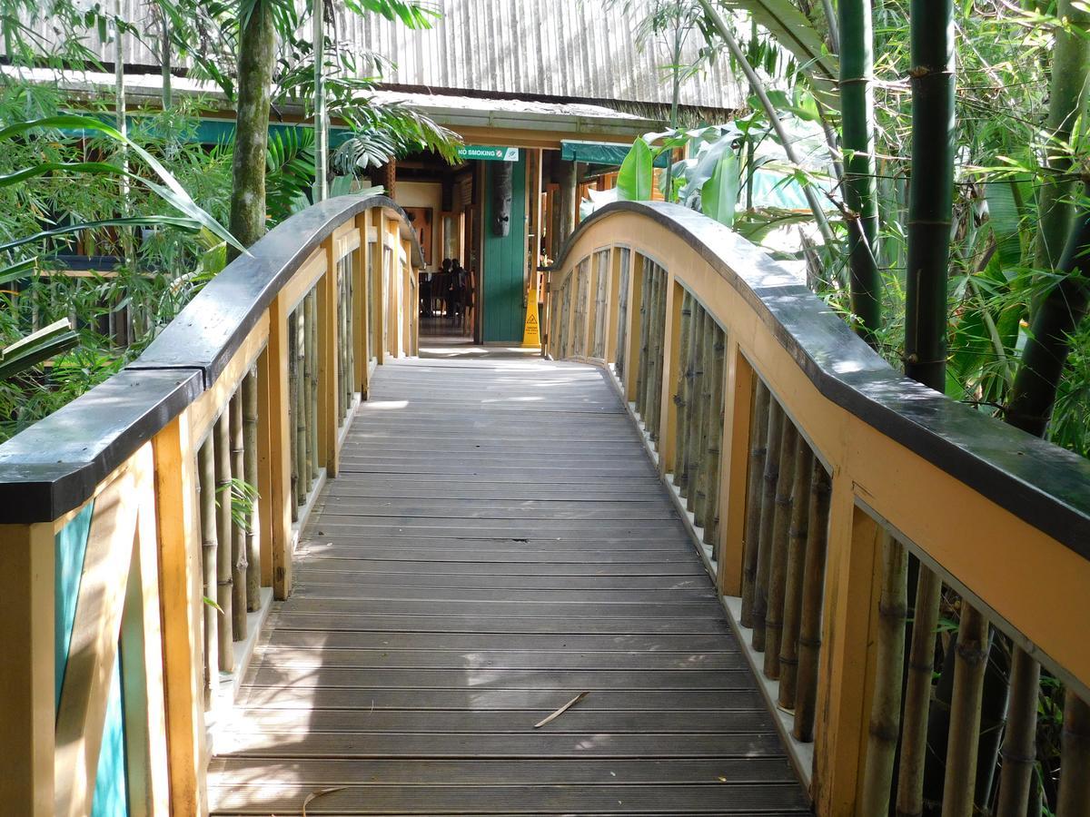 Rainforest Eco Lodge Suva Bagian luar foto