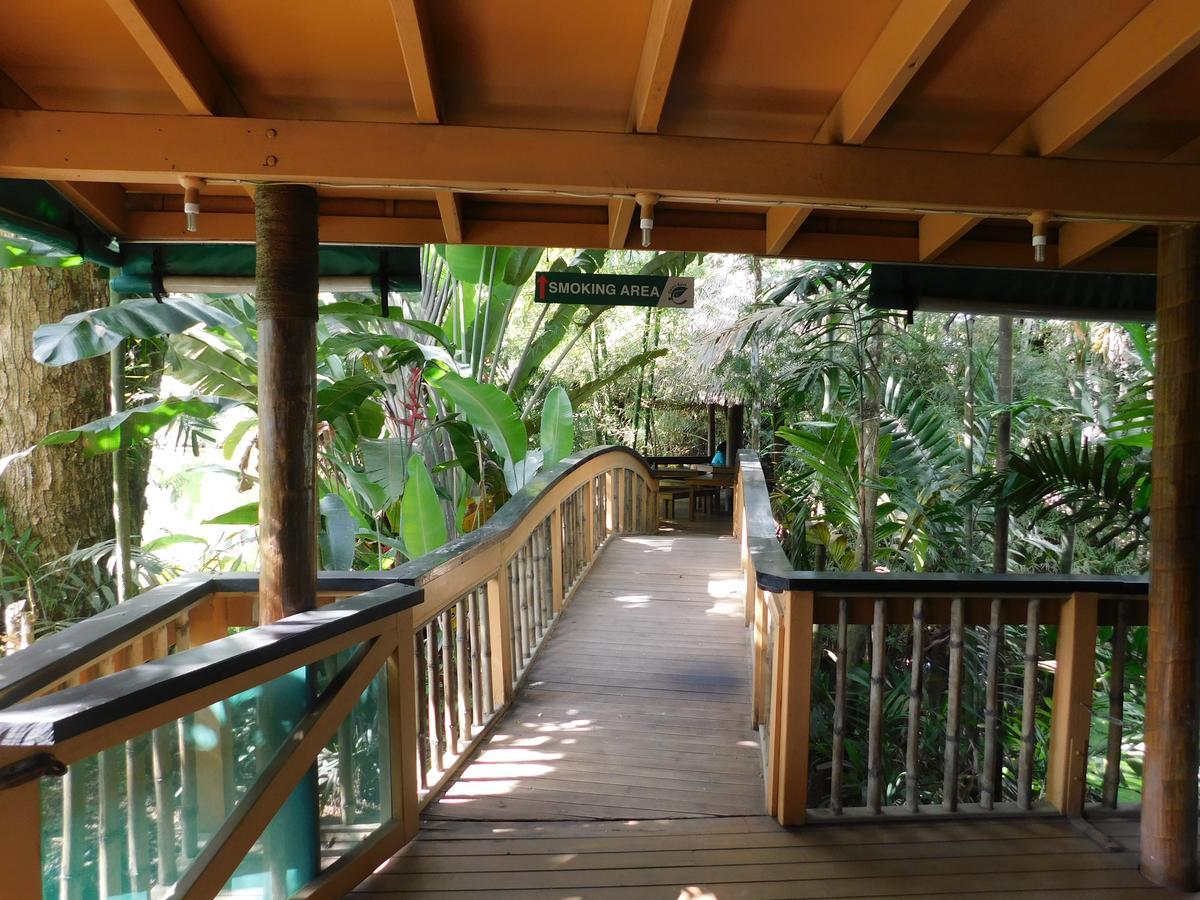 Rainforest Eco Lodge Suva Bagian luar foto